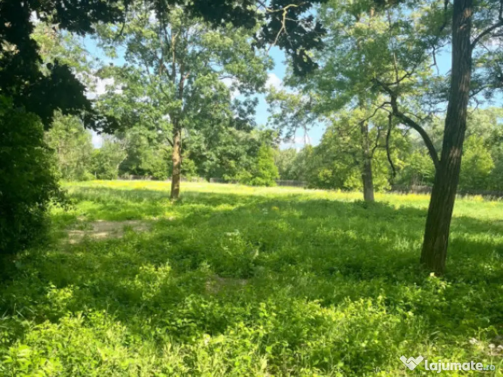 Teren extravilan, 10000 mp, Vicovu de Sus