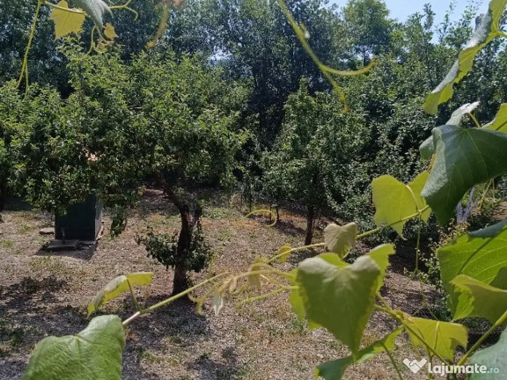 Casa zona Unirea la iesire