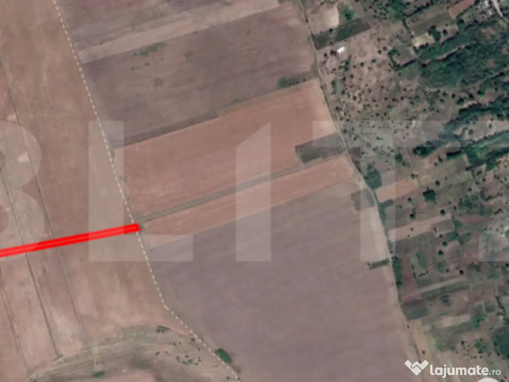 Teren agricol 5400mp Dobrovat iasi