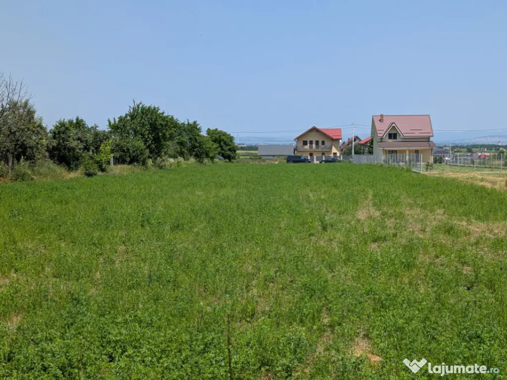Teren Măgura Farbe , 4600m dubla deschidere 