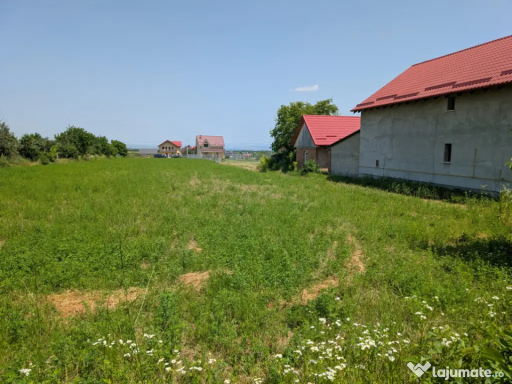 Teren Măgura Farbe , 4600m dubla deschidere 