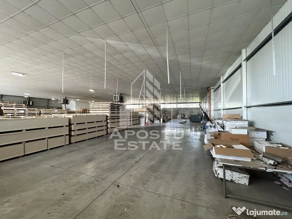 Hala 1400 mp, C. Lugojului, ideala depozitare, acces TIR. 