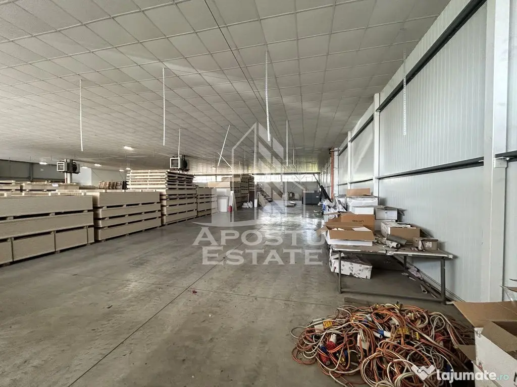 Hala 1400 mp, C. Lugojului, ideala depozitare, acces TIR. 