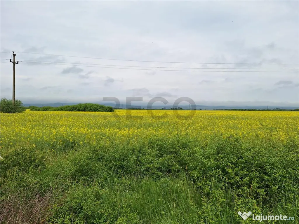 Reco, teren intravila la E60 sacadat 