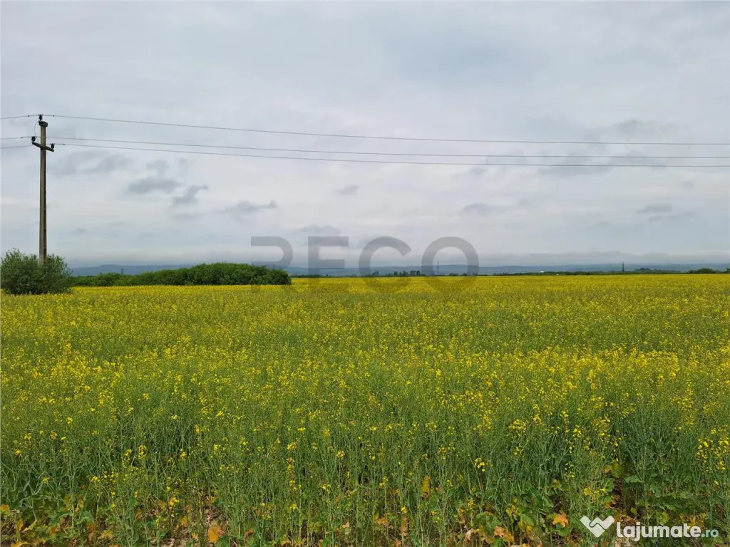 Reco, teren intravila la E60 sacadat 