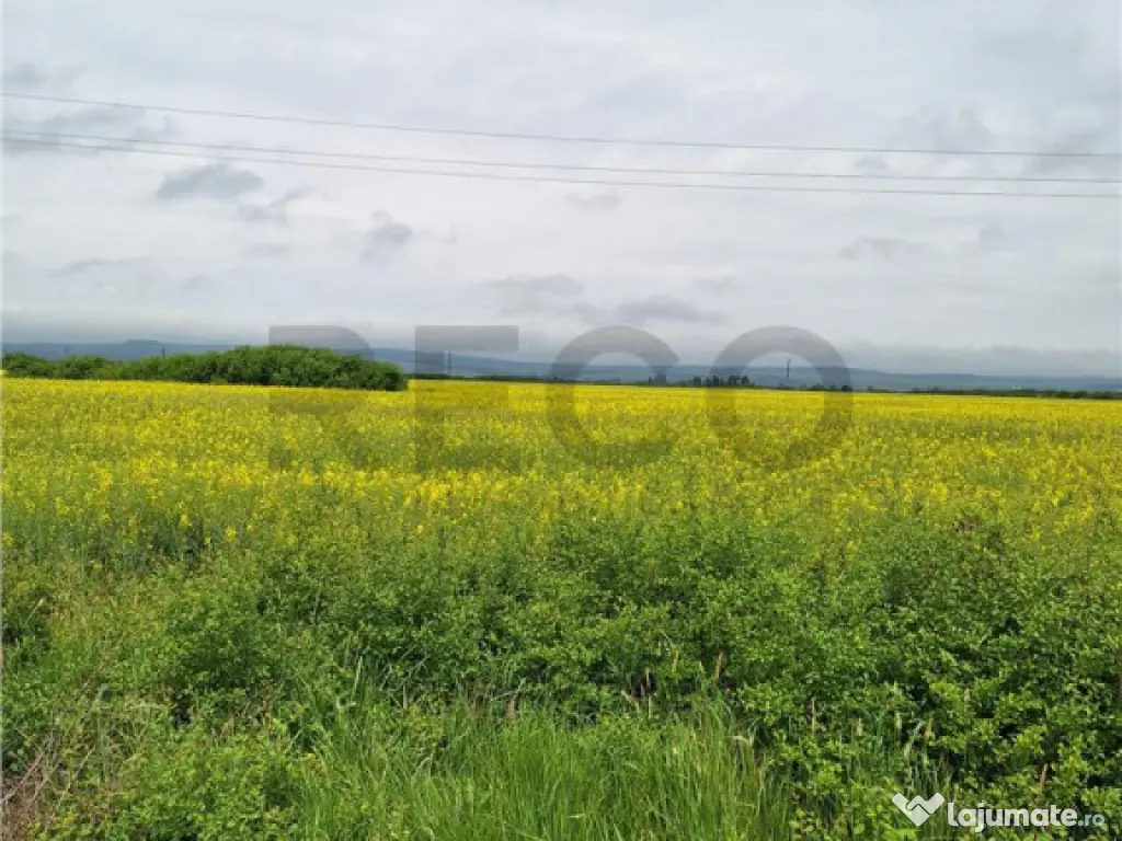 Reco, teren intravila la E60 sacadat 