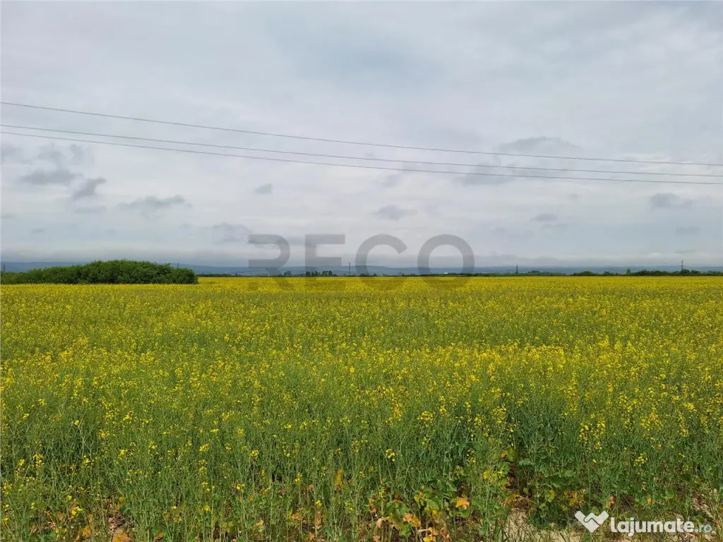 Reco, teren intravila la E60 sacadat 