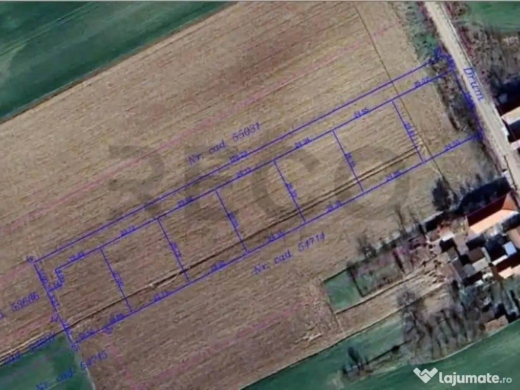 RECO parcele teren Sannicolaul Roman 