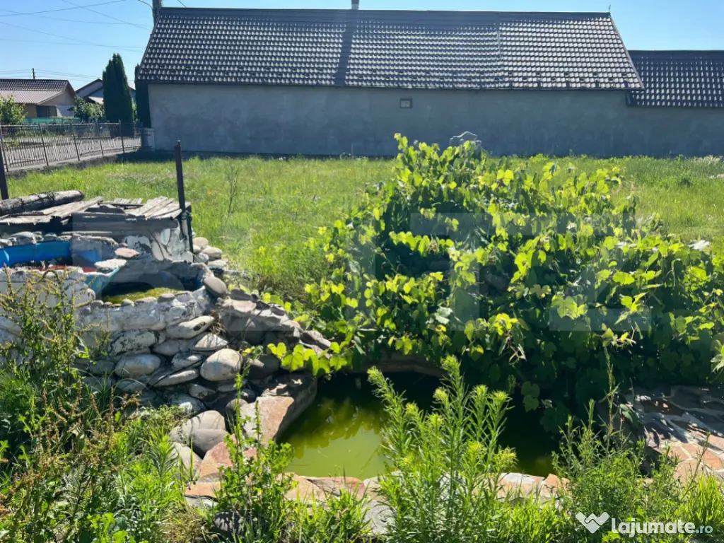 Casă 309 mp, teren 1083 mp, Rușii-Munți