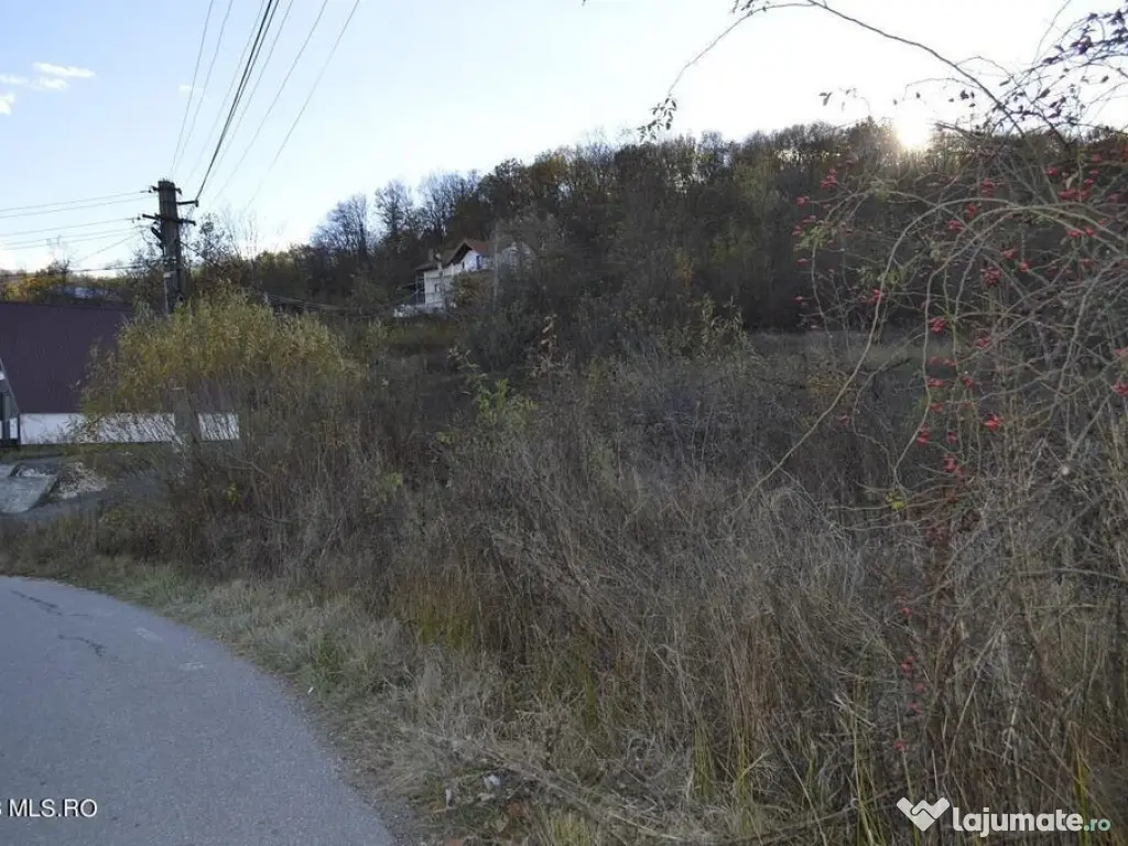 Babana - Centru - Primarie, Teren intravilan 13742 mp 