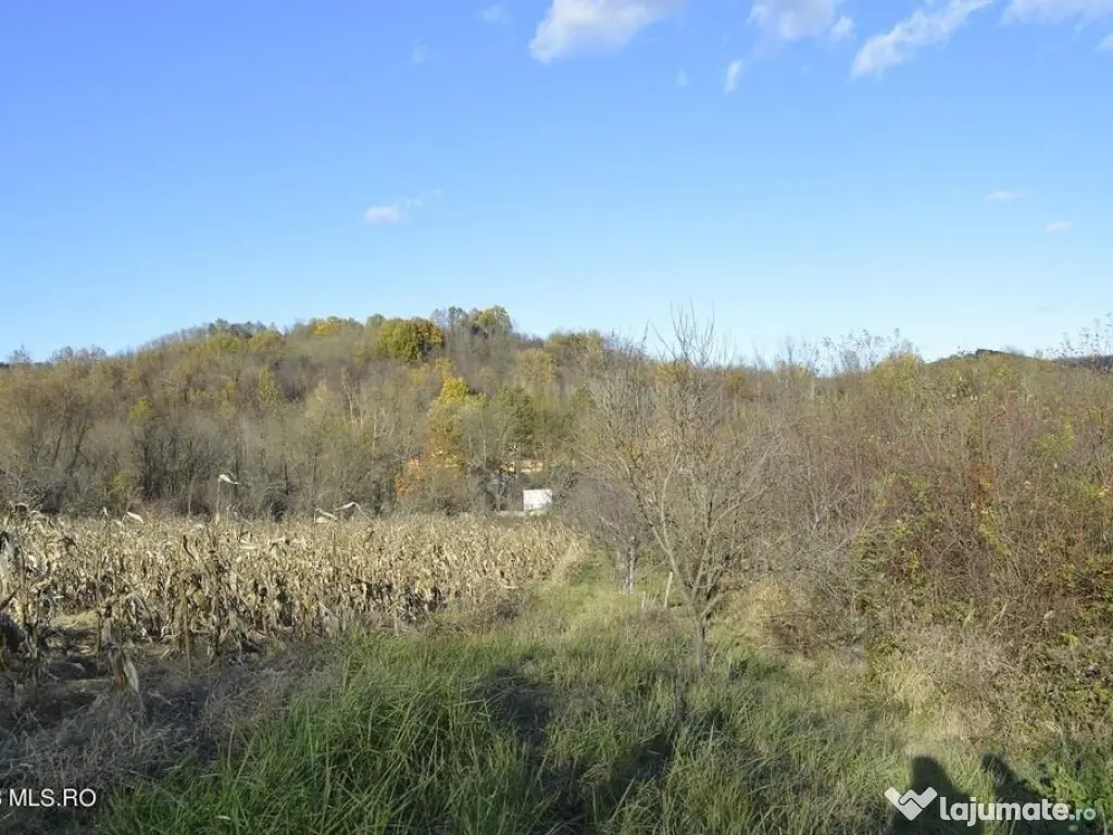 Babana - Centru - Primarie, Teren intravilan 13742 mp 