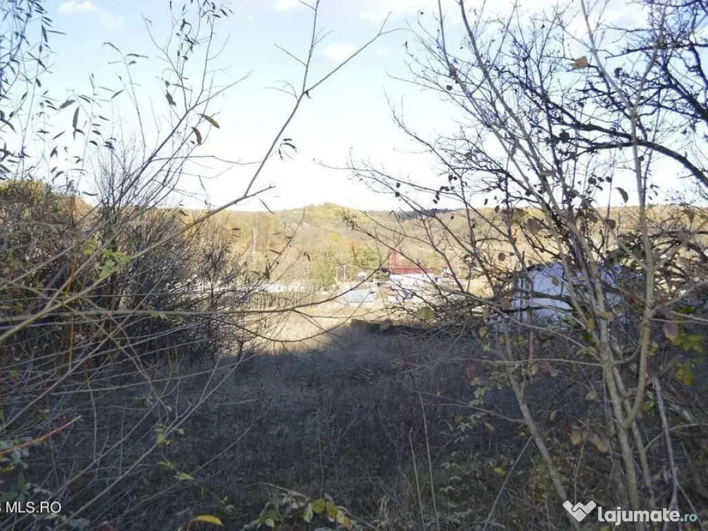 Babana - Centru - Primarie, Teren intravilan 13742 mp 