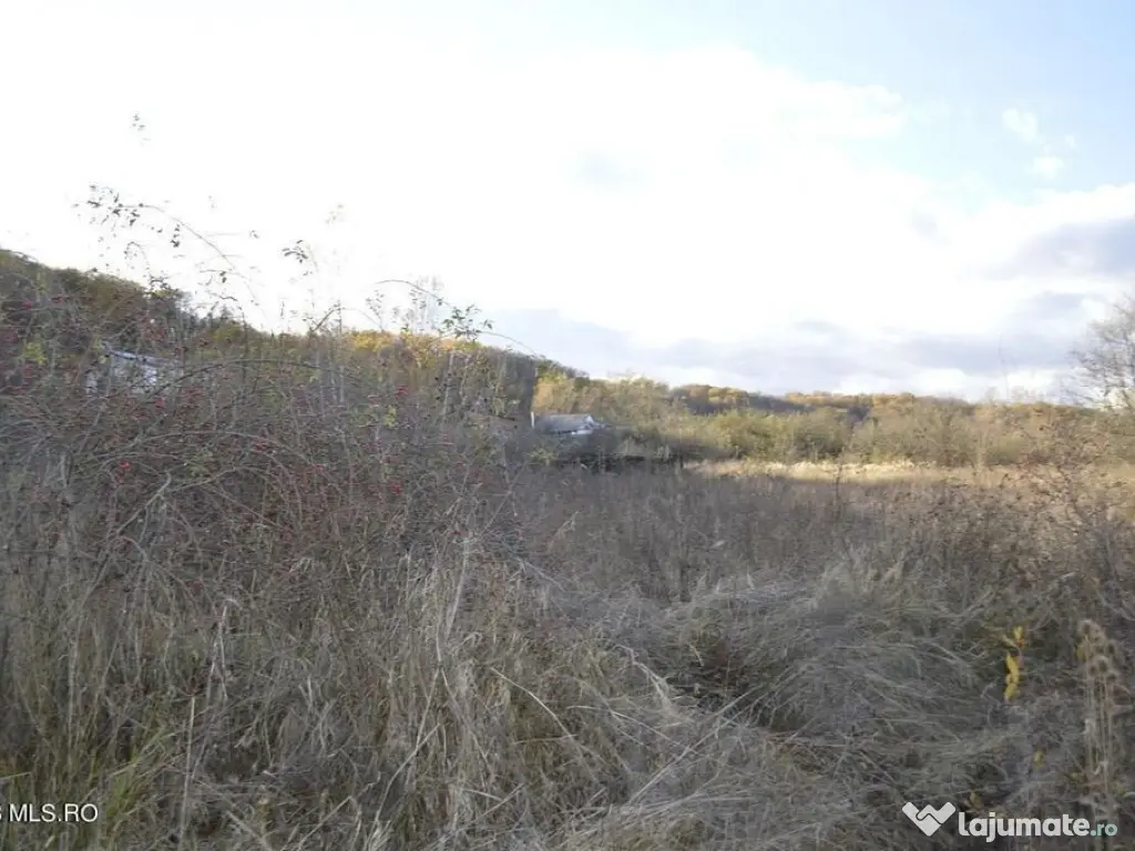 Babana - Centru - Primarie, Teren intravilan 13742 mp 