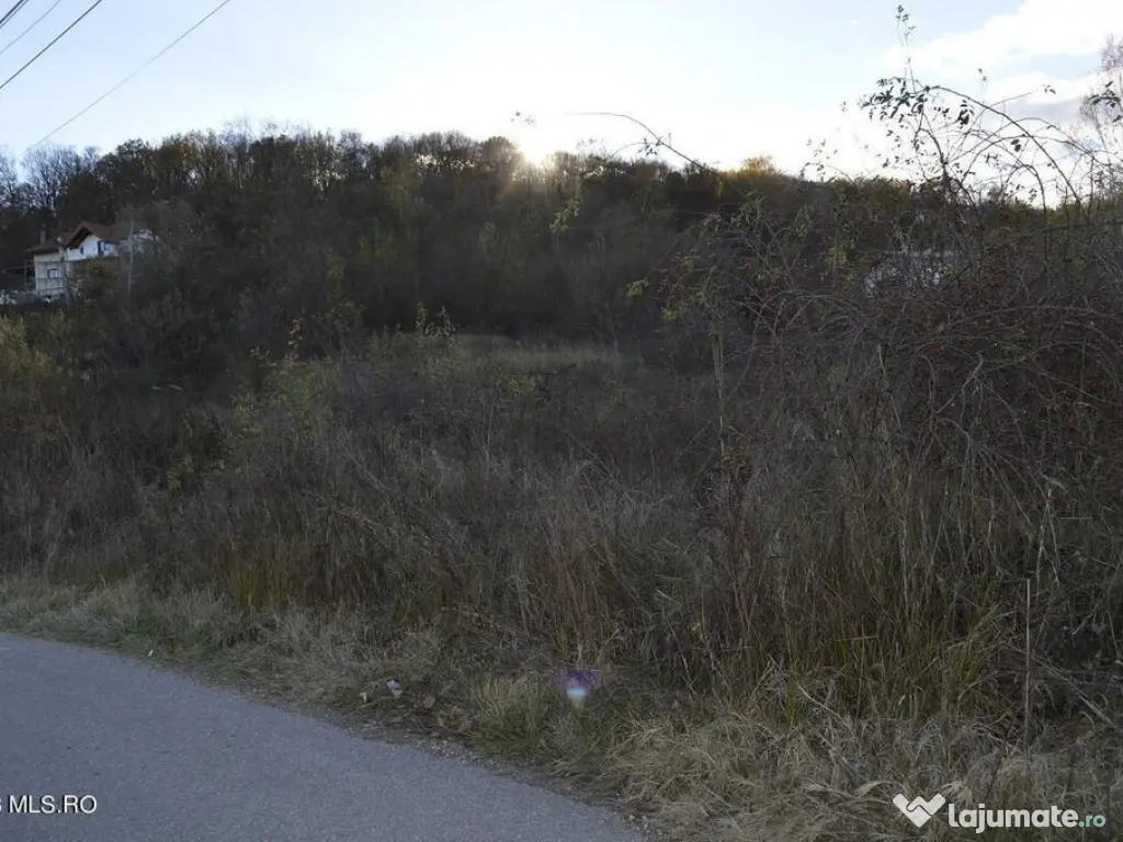 Babana - Centru - Primarie, Teren intravilan 13742 mp 