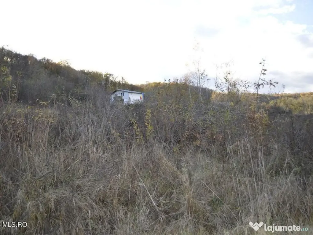 Babana - Centru - Primarie, Teren intravilan 13742 mp 