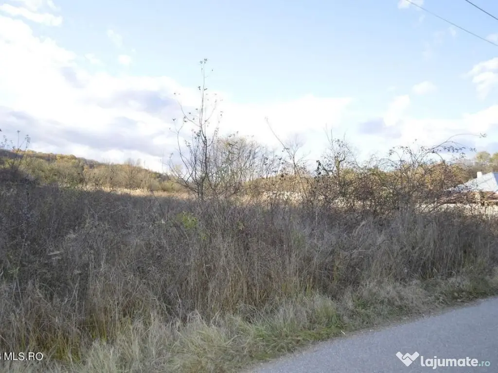 Babana - Centru - Primarie, Teren intravilan 13742 mp 