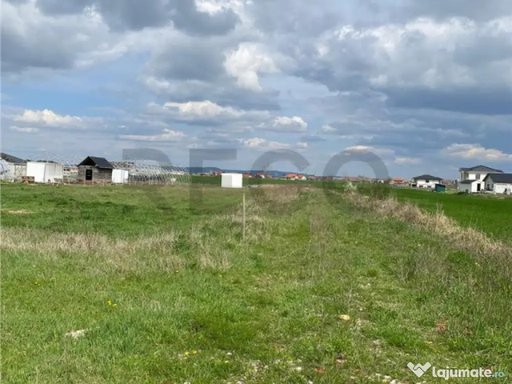 RECO Teren intravilan in Cihei 500mp