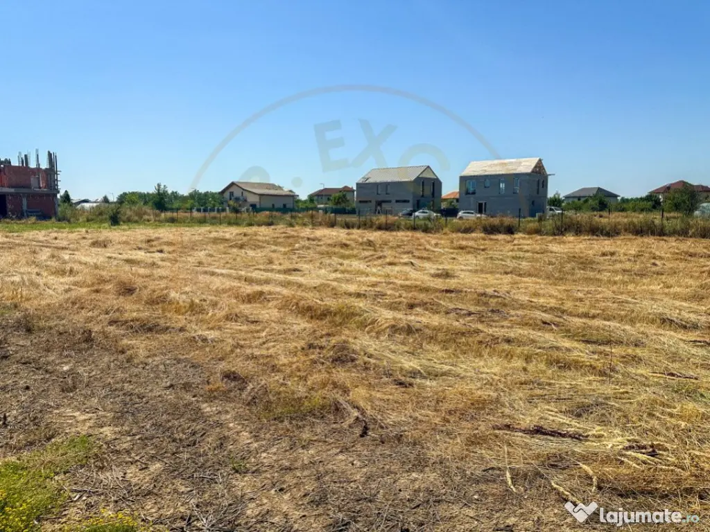 Teren 1116 mp gulia Eden Forest