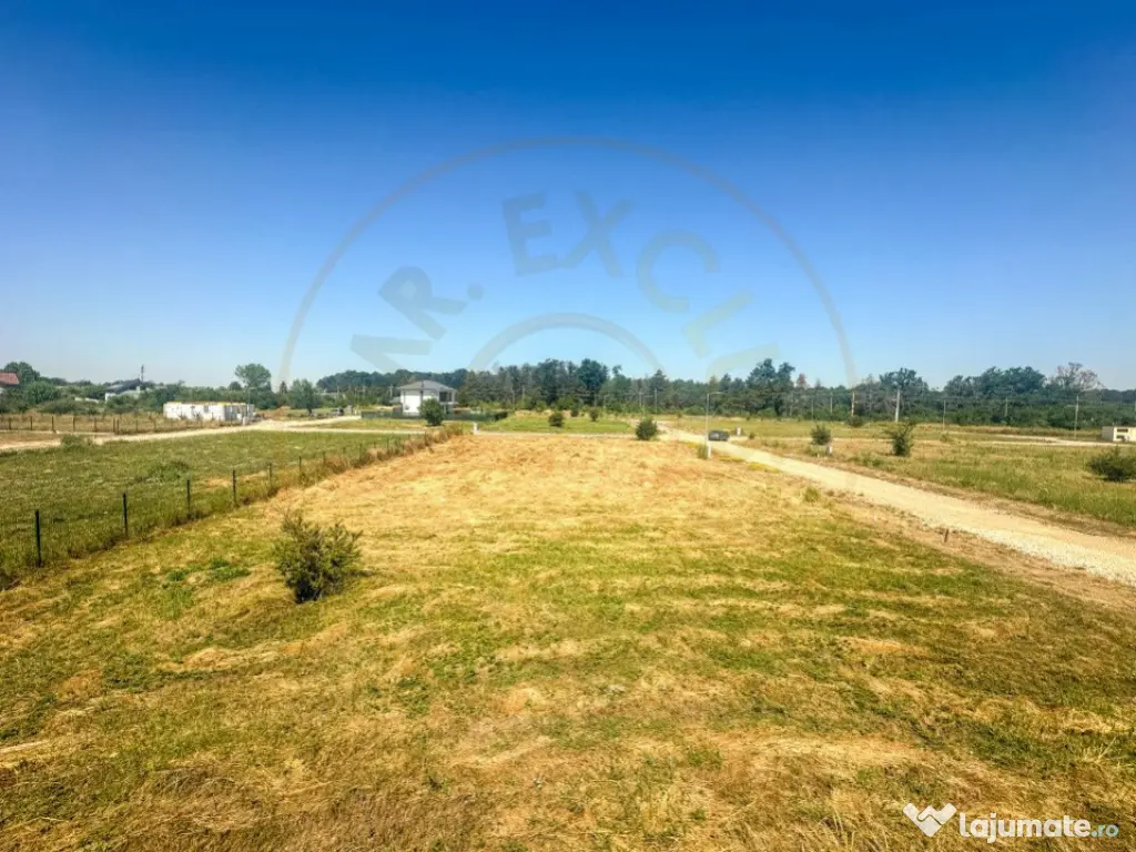 Teren 1116 mp gulia Eden Forest