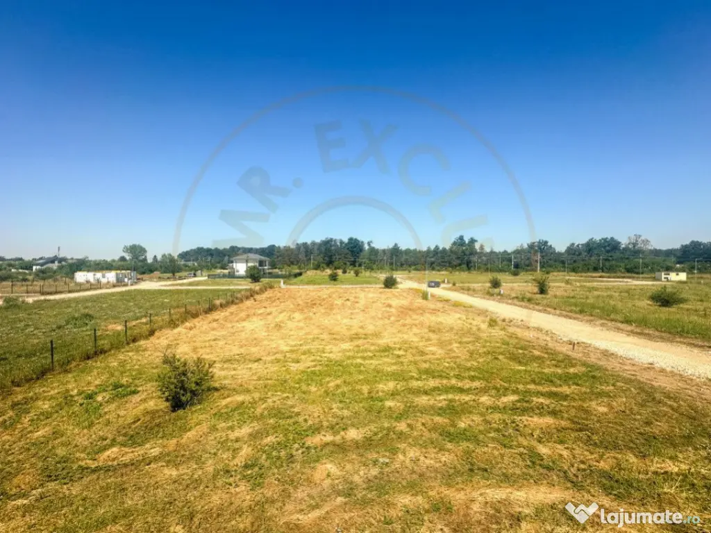 Teren 1116 mp gulia Eden Forest