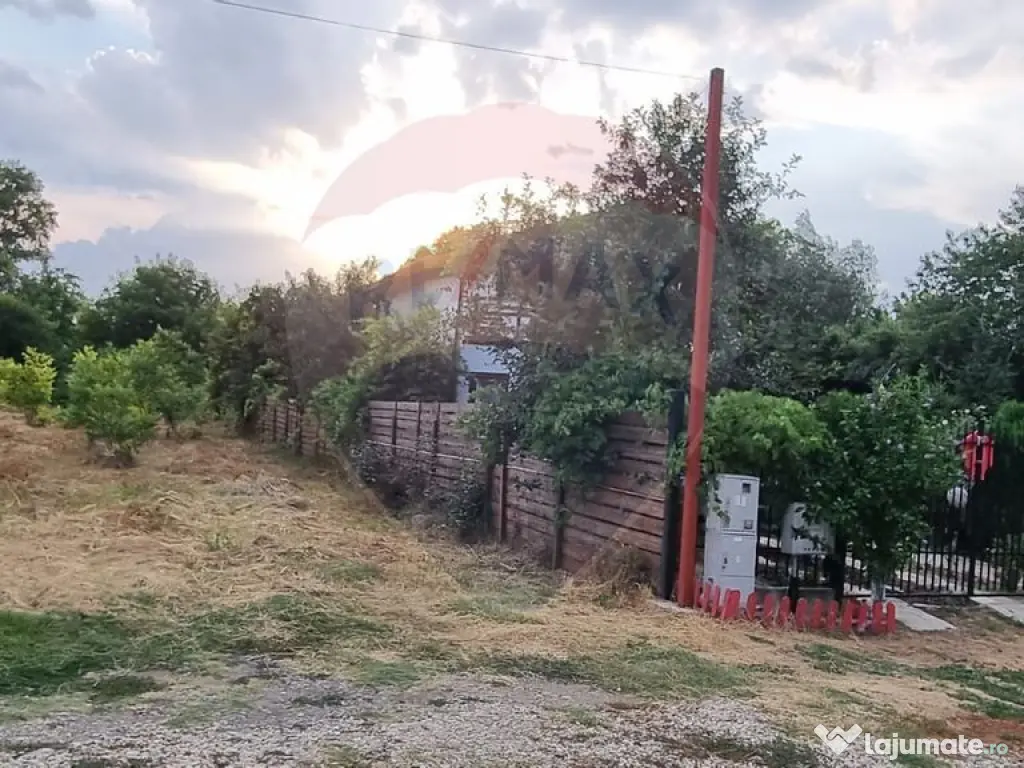 Teren 1,000mp Ciorogarla / None