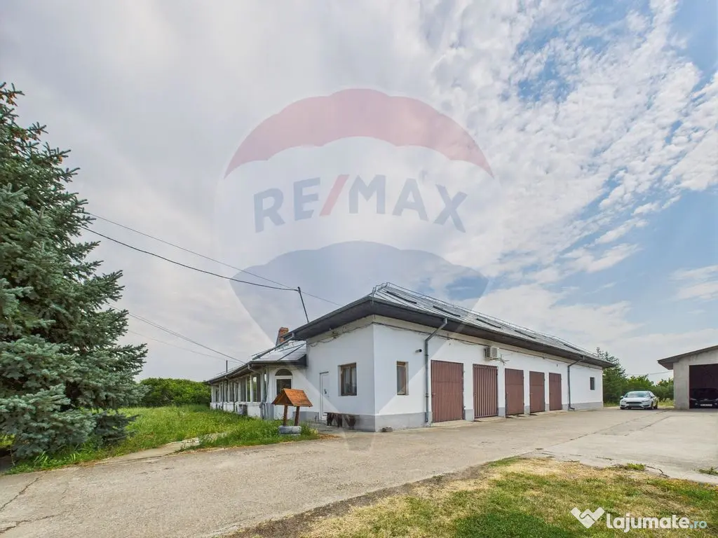 Proprietate speciala Dragomiresti Deal -Teren 15000 mp