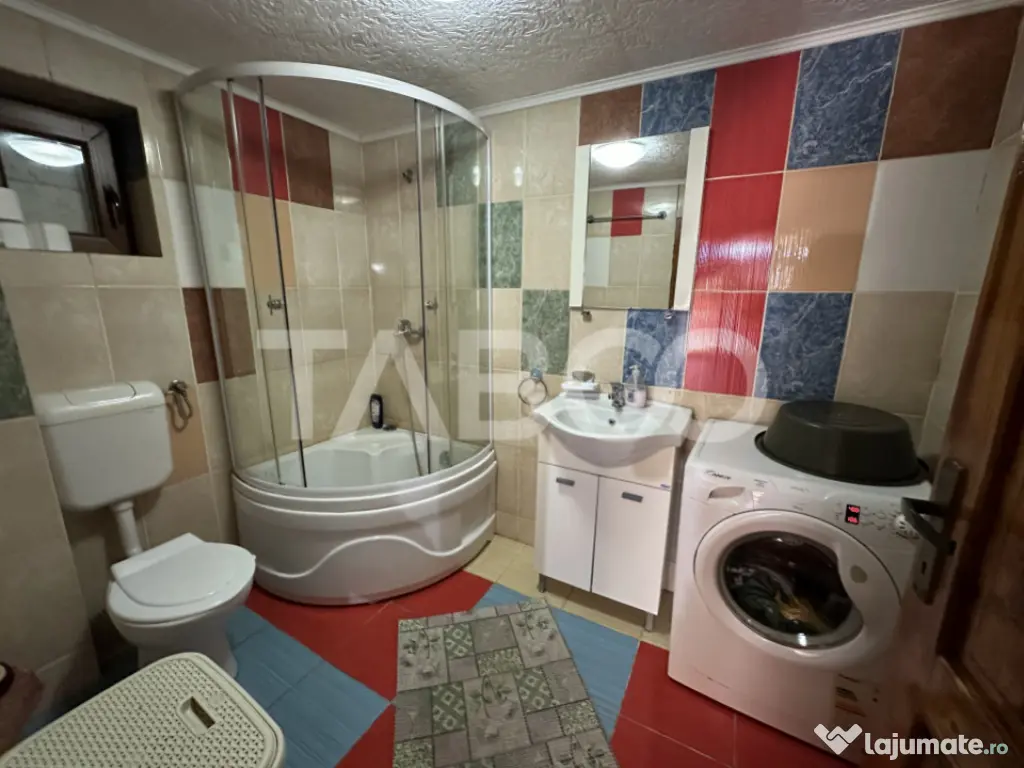 Cabana spatioasa la 5 km de Partia Sureanu complet utilata