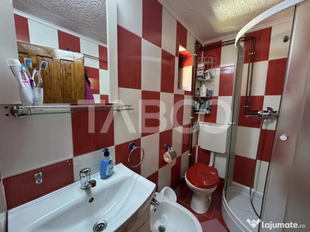 Cabana spatioasa la 5 km de Partia Sureanu complet utilata