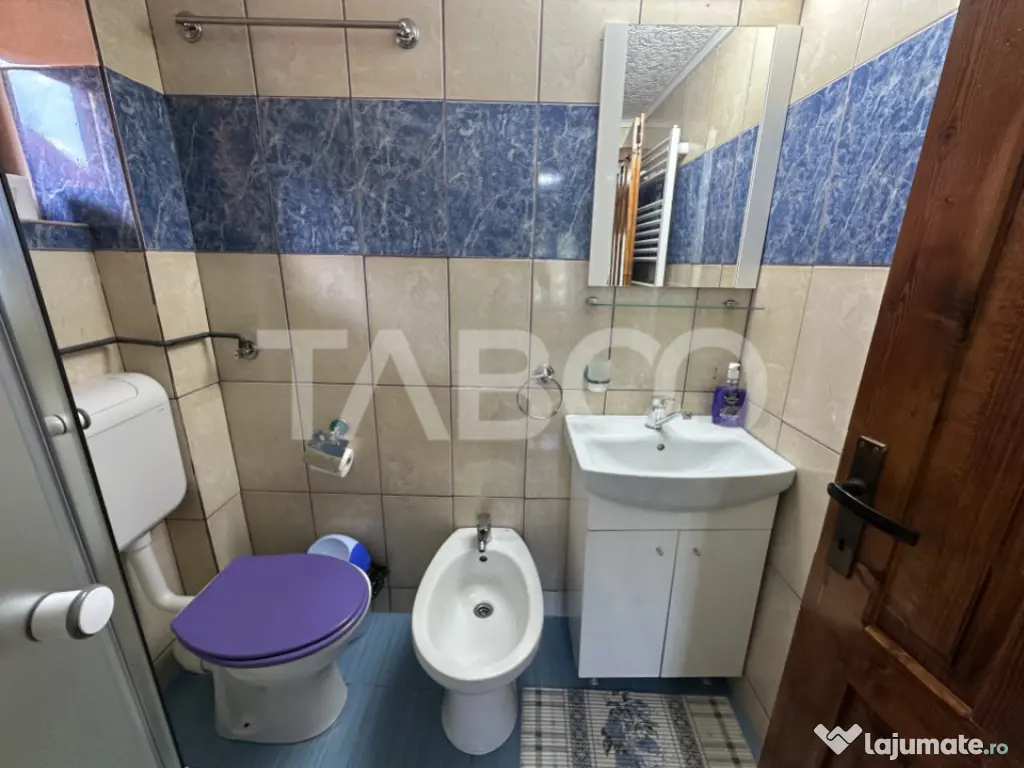 Cabana spatioasa la 5 km de Partia Sureanu complet utilata