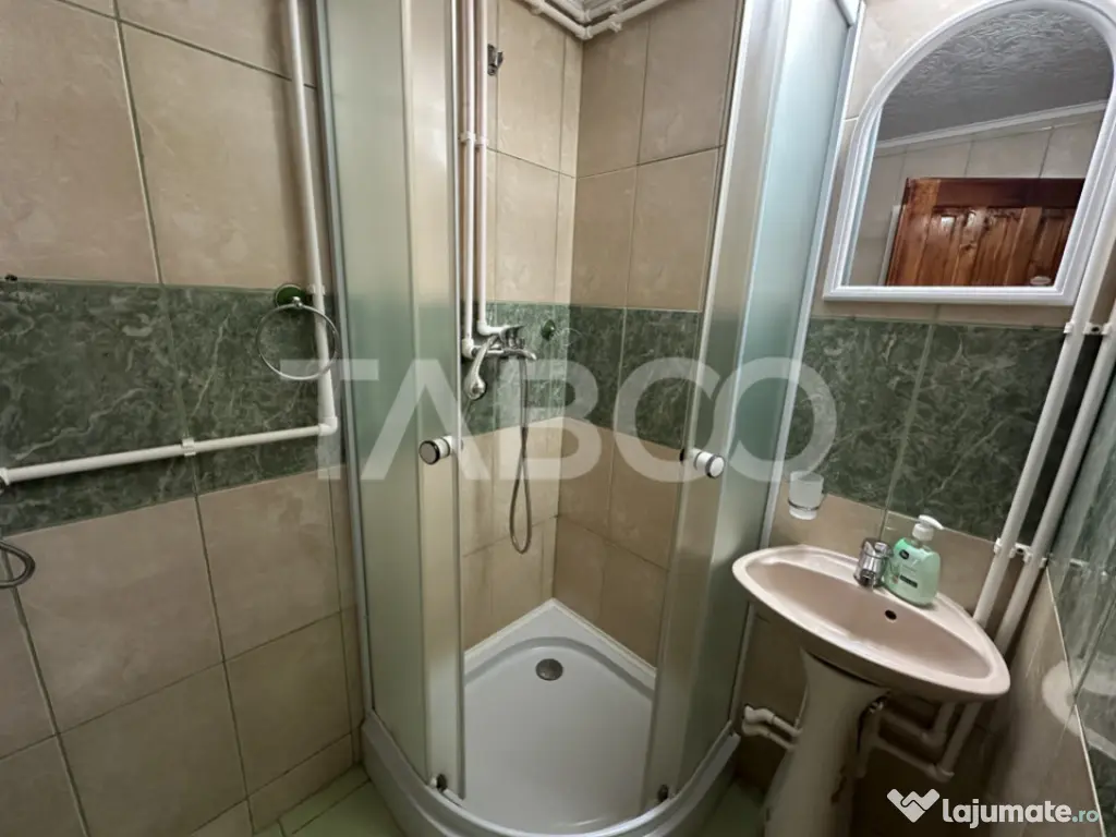 Cabana spatioasa la 5 km de Partia Sureanu complet utilata