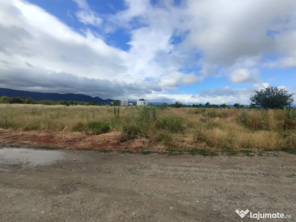 Teren intravilan, 6000mp, Ghimbav 