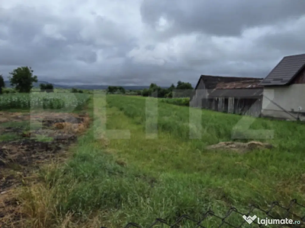 Teren intravilan 29 ari, Jelna, acces la asfalt