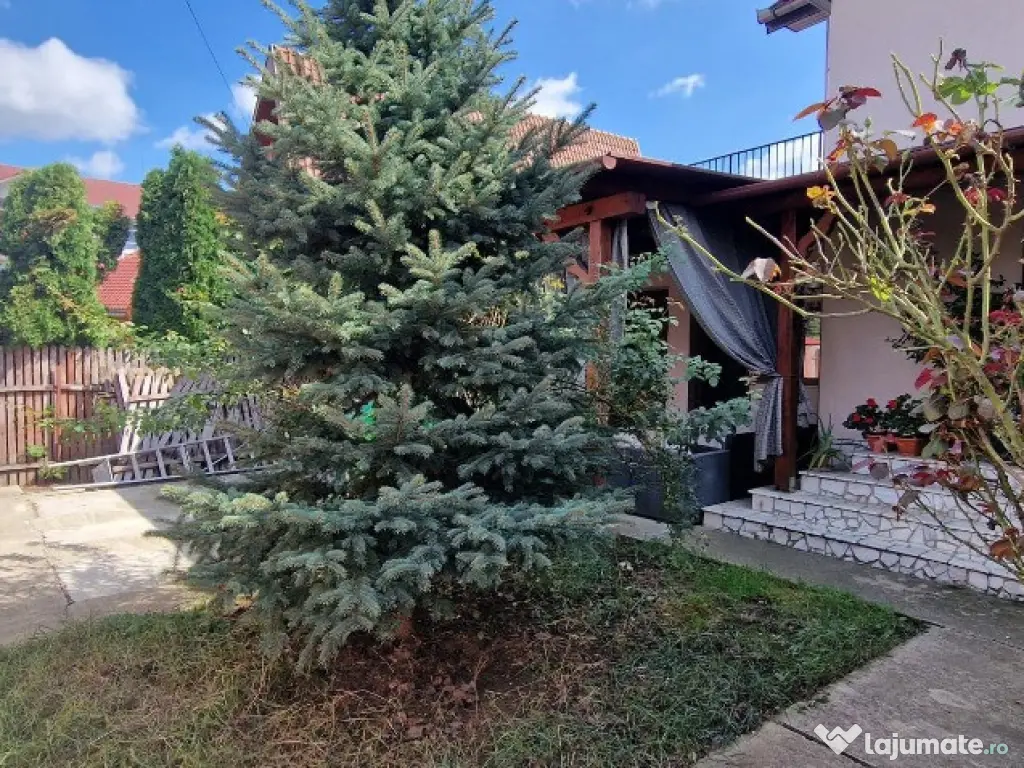 Casa de vanzare, Sanmartin la intrarea in localitate