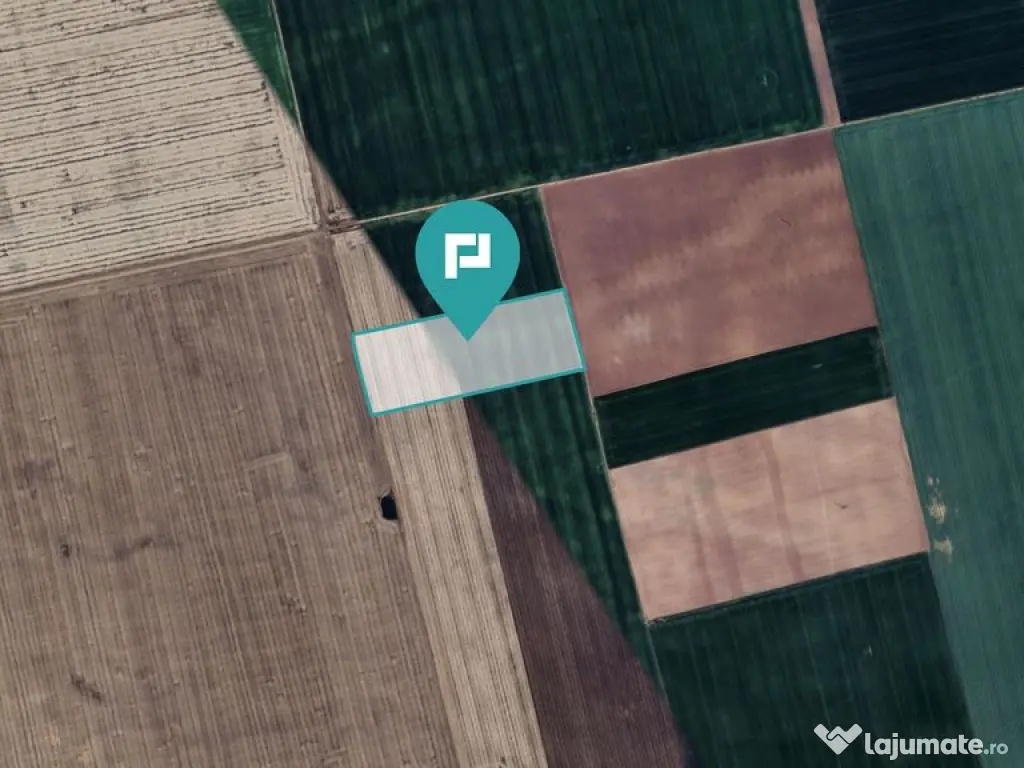 Teren arabil de 4,4Ha în Șimand