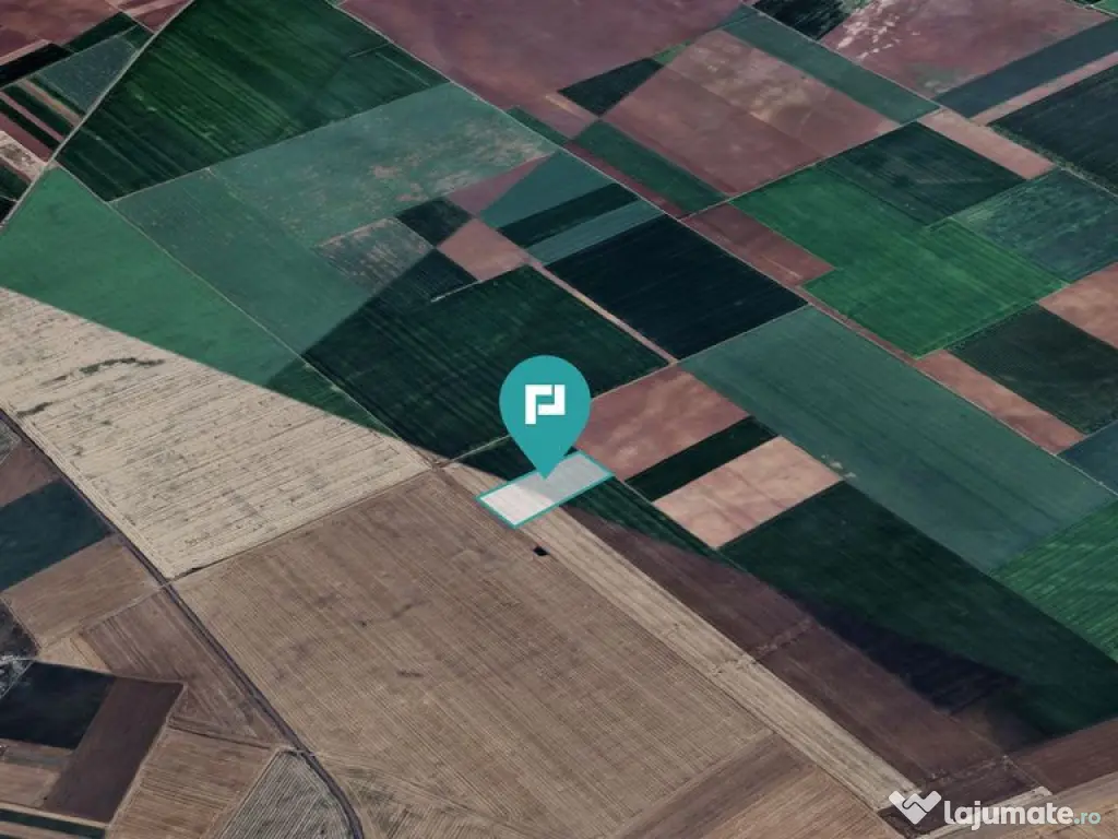 Teren arabil de 4,4Ha în Șimand 