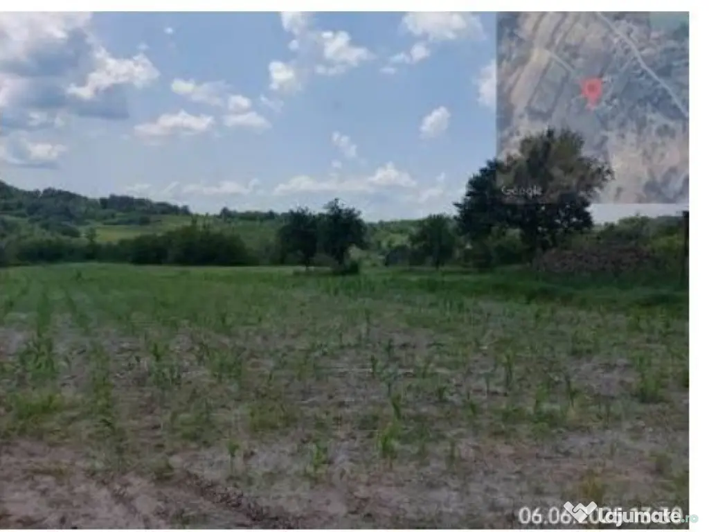 Teren extravilan, loc. Bustuchin, Jud Gorj 