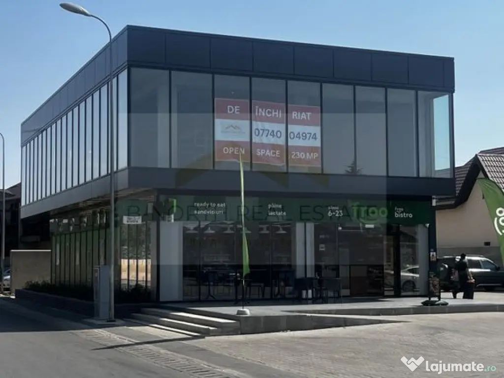SPATIU COMERCIAL 230 mp 