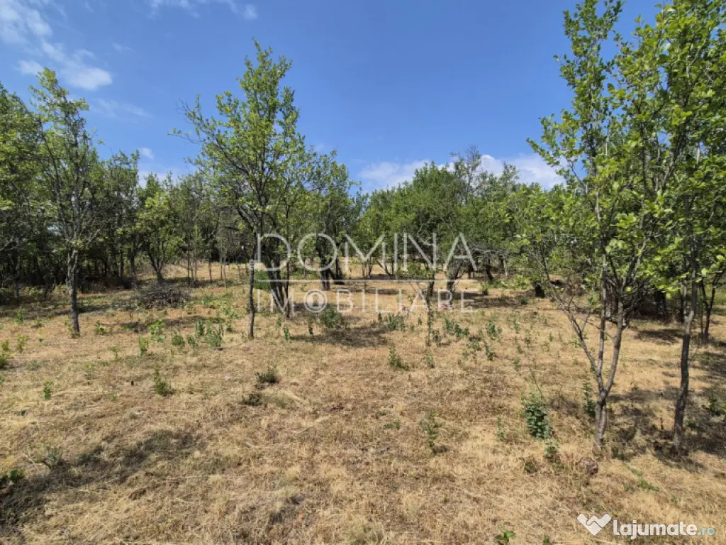 Proprietate în apropiere de complex turistic Mușetești 