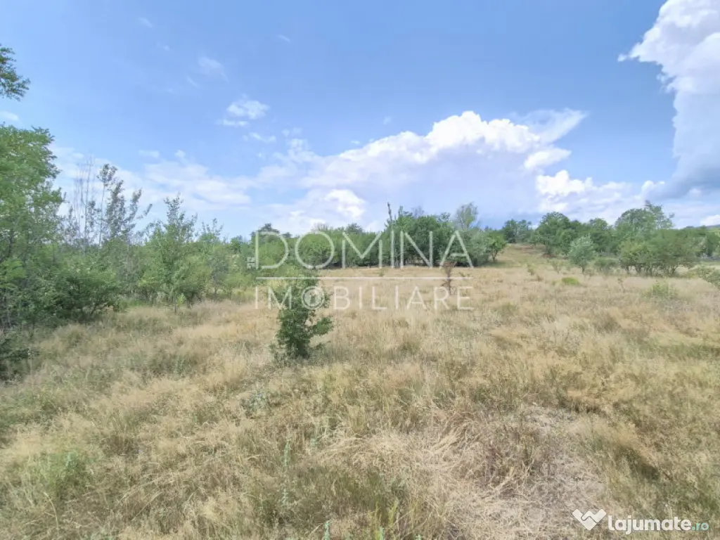 Proprietate în apropiere de complex turistic Mușetești 