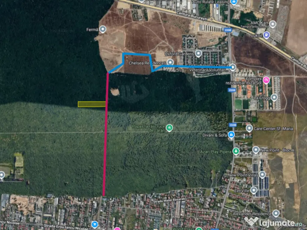 Raritate absolută: Teren 20.000 mp în inima Padurii Bănea 