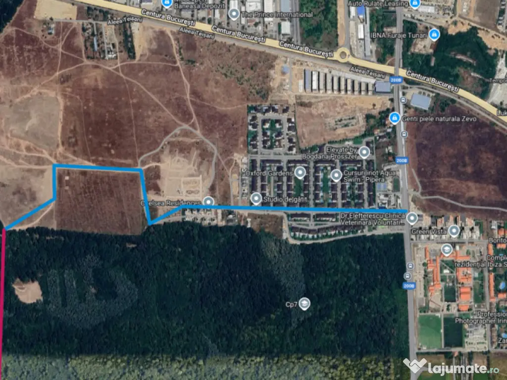 Raritate absolută: Teren 20.000 mp în inima Padurii Bănea 