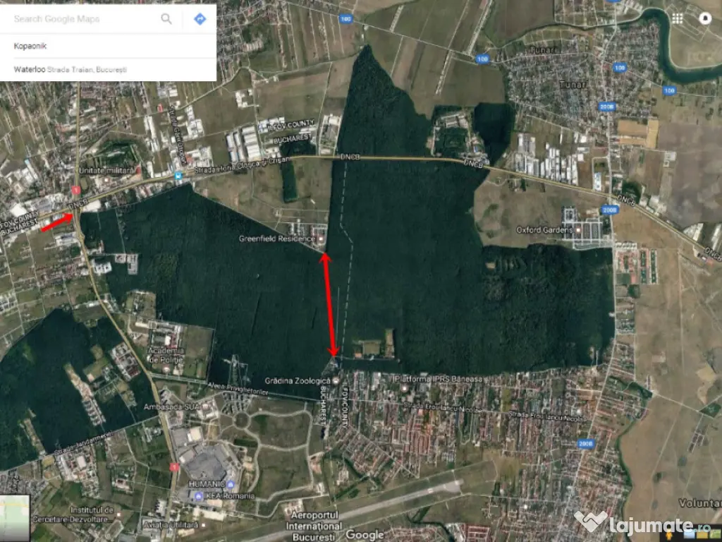 Raritate absolută: Teren 20.000 mp în inima Padurii Bănea 