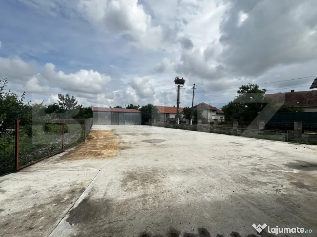 Casa de vanzare in Lazuri, ideala si pentru investitii