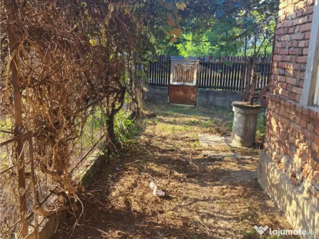 Casa cu teren 3579mp in com. Cascioarele, Jud. Giurgiu 