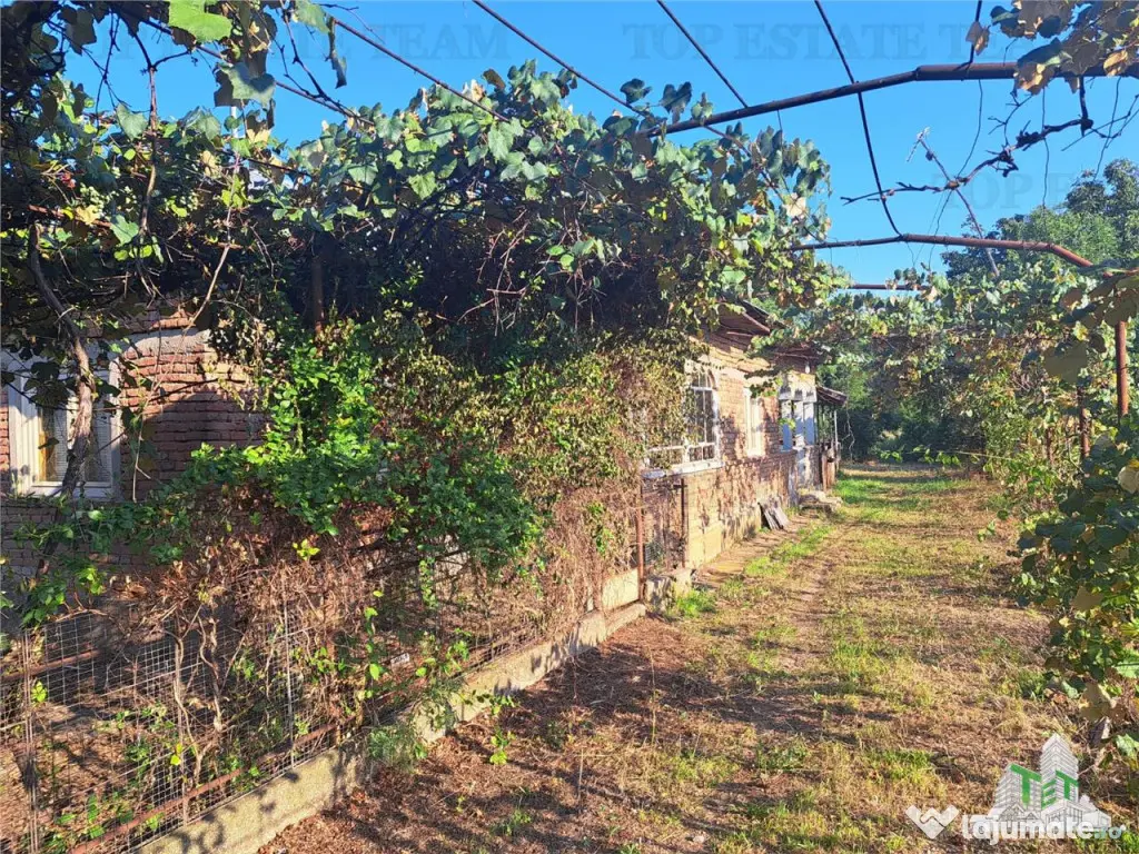 Casa cu teren 3579mp in com. Cascioarele, Jud. Giurgiu 