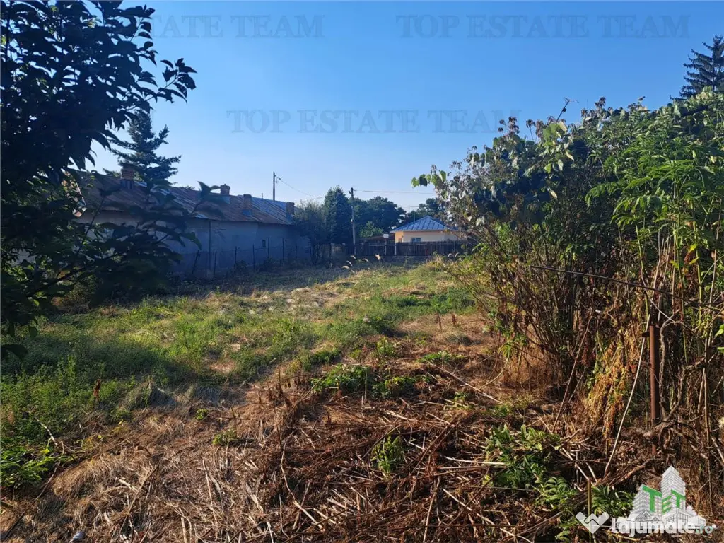 Casa cu teren 3579mp in com. Cascioarele, Jud. Giurgiu 