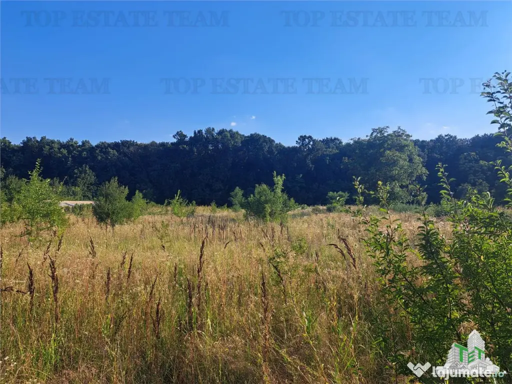 Casa cu teren 3579mp in com. Cascioarele, Jud. Giurgiu 