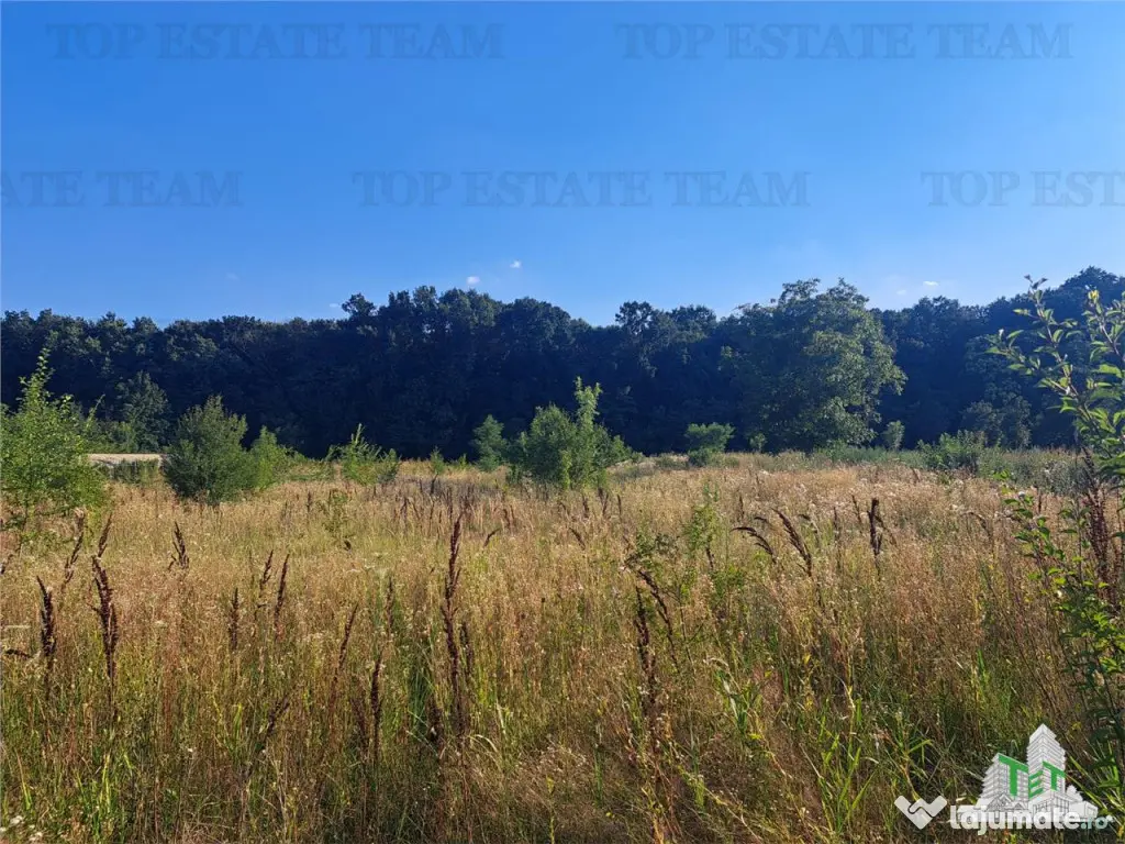 Casa cu teren 3579mp in com. Cascioarele, Jud. Giurgiu 