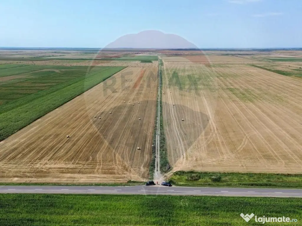 Fermă vegetală 148 ha și sediu fermă Mãicãneşti ! 