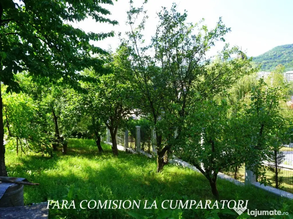 ANL- MORILOR, TEREN 635 MP 